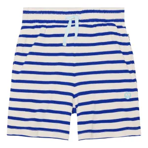 Aelius Reef Stripe Shorts  - FINAL SALE