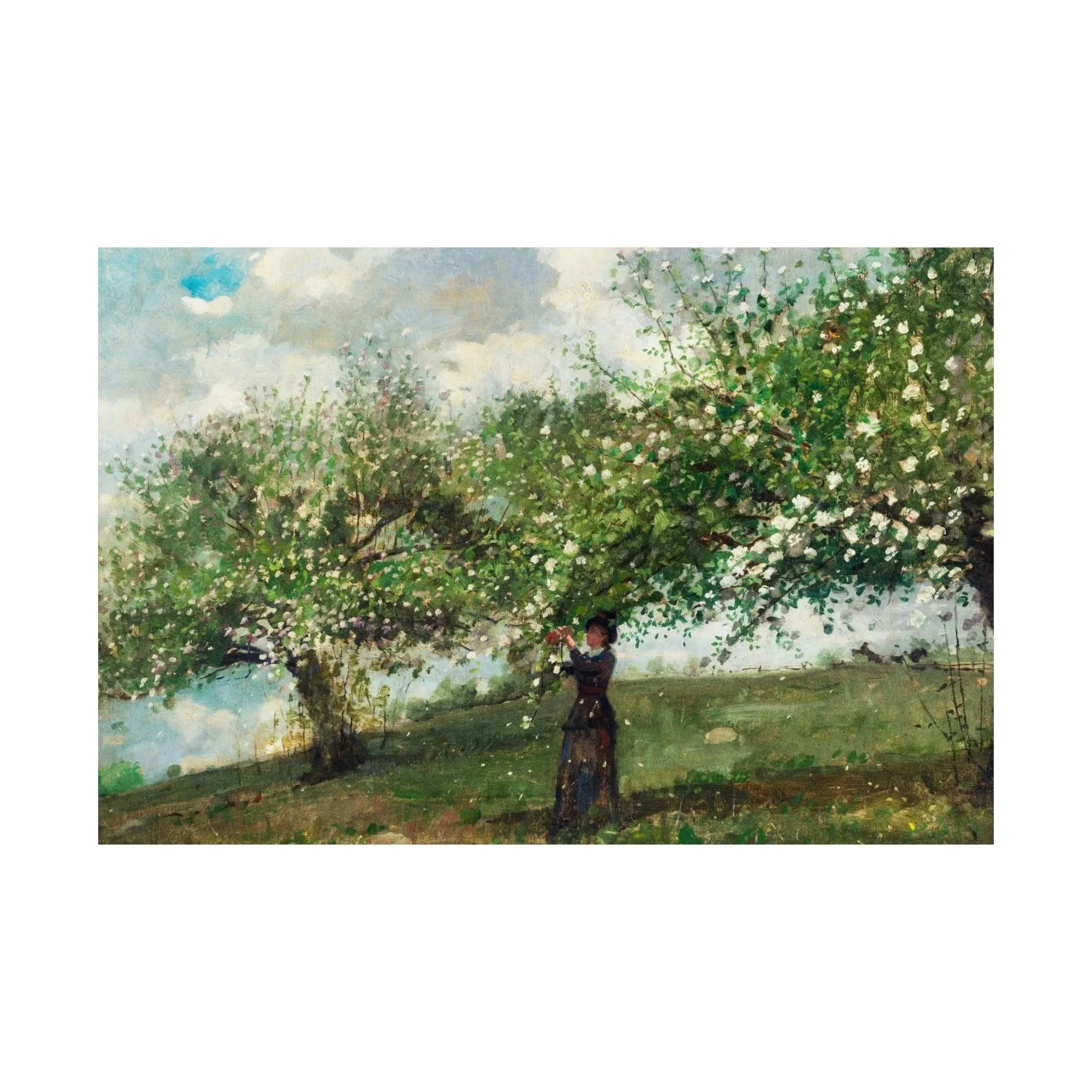 Charming Winslow Homer 'Girl Picking Apple Blossoms' 1879 - Kitchen Wall Art Poster - Smithsonian Original - Artistic Home Deco