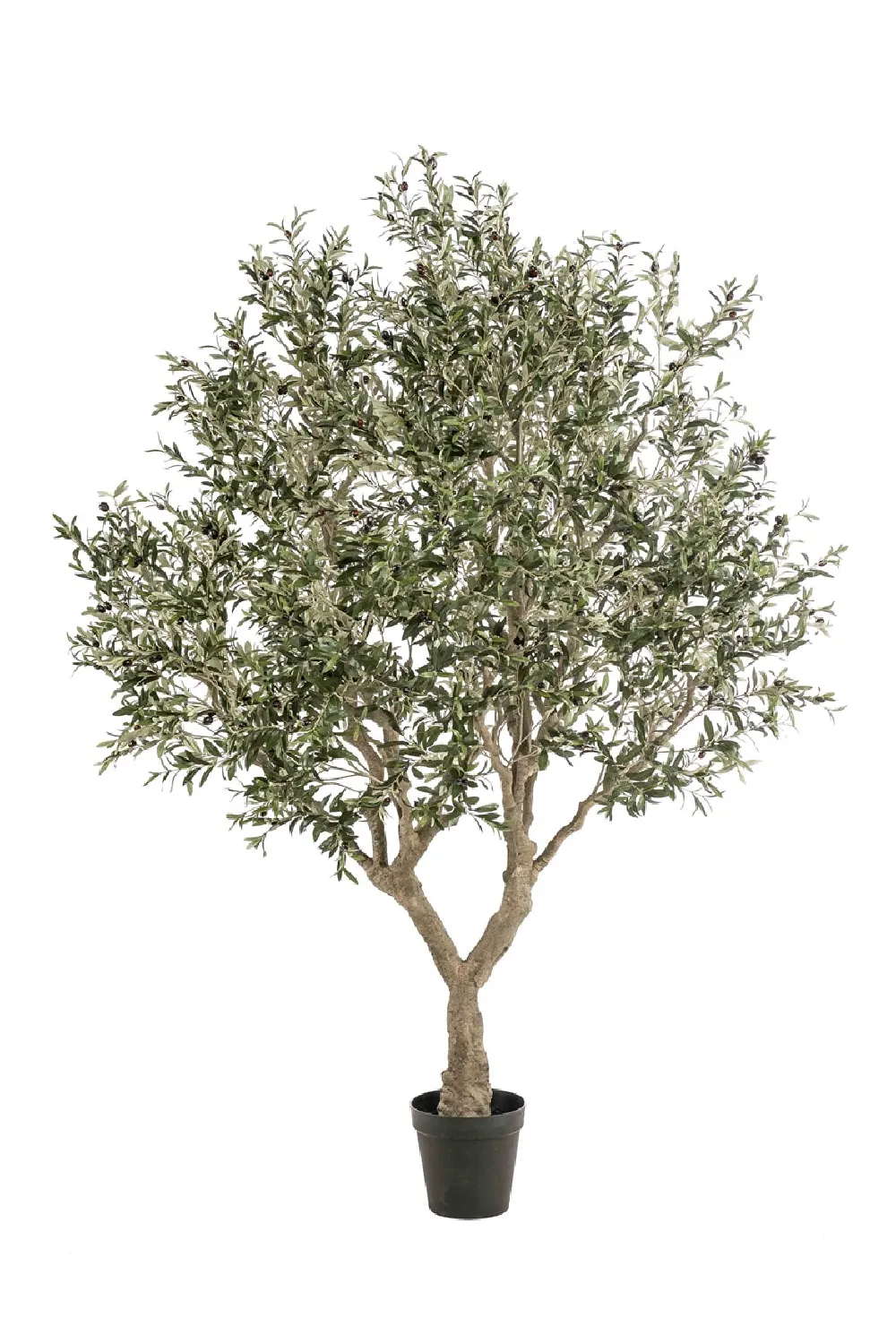 Faux Mediterranean Evergreen Tree | Emerald Olive