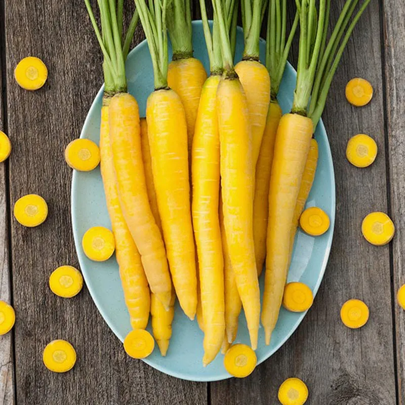 Yellowstone Carrot Seeds (Organic)